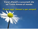 Immagine amore frase